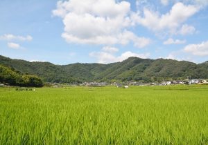 Dr.武藤のれんけあコラム　連載② ～ぴんぴんころり～　　　　